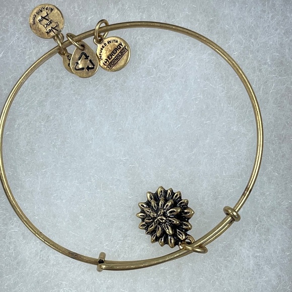 Alex and Ani Water Lily Charm Bracelet - NWT - Picture 3 of 4
